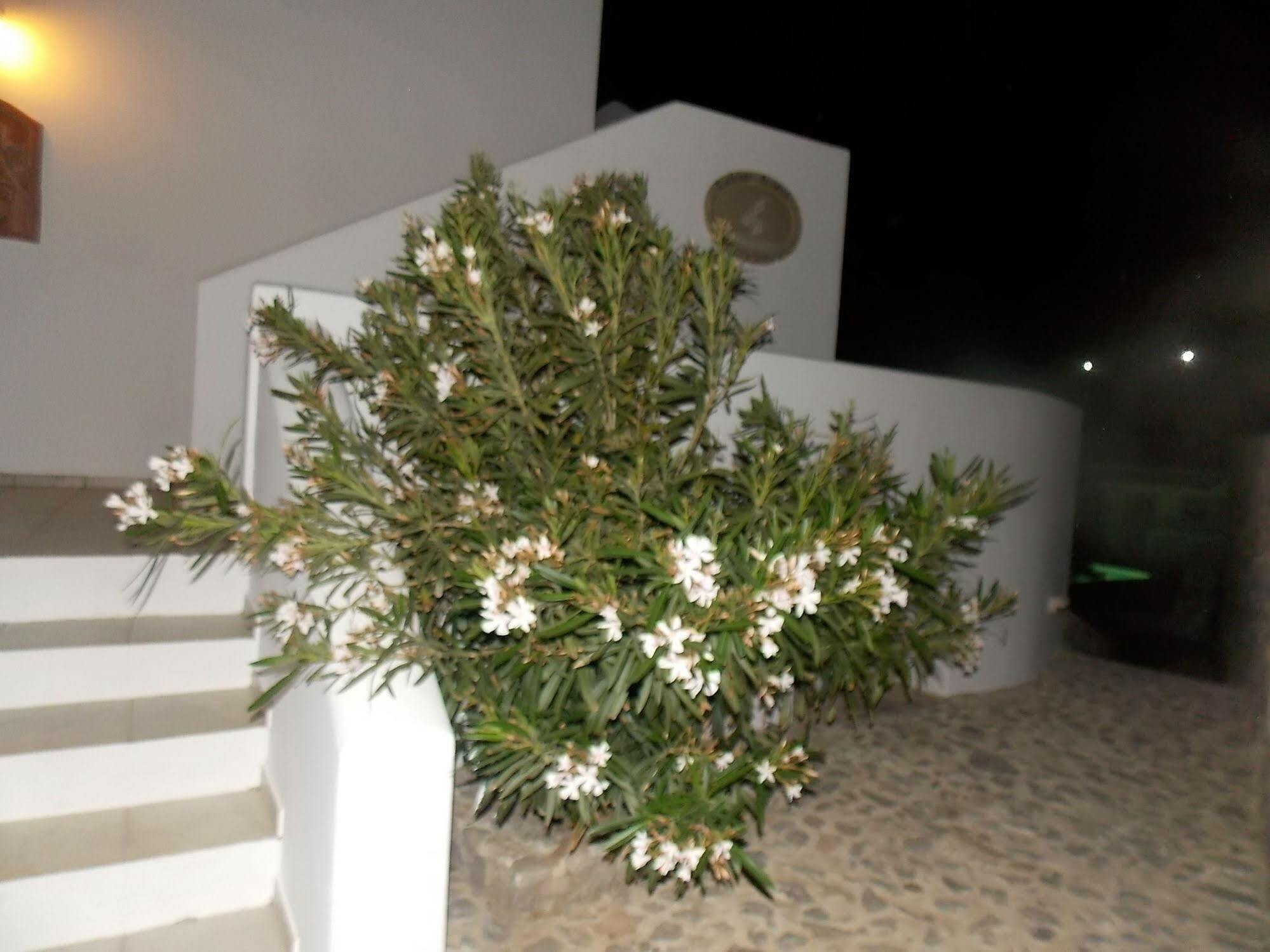 Lavarock Santorini Періса Екстер'єр фото